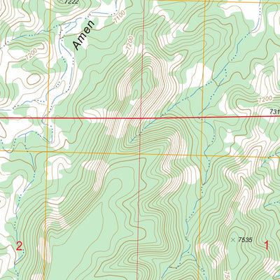 US Forest Service - Topo Armstrong Canyon, NM FSTopo Legacy digital map