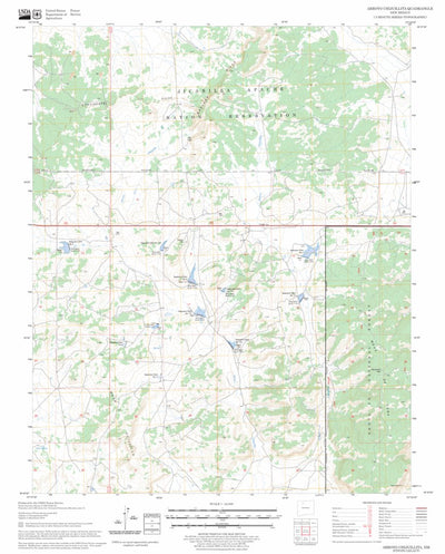 US Forest Service - Topo Arroyo Chijuillita, NM FSTopo Legacy digital map