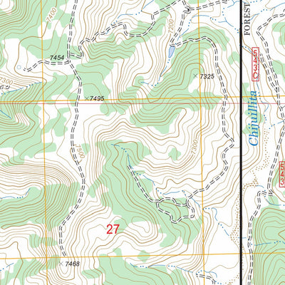 US Forest Service - Topo Arroyo Chijuillita, NM FSTopo Legacy digital map