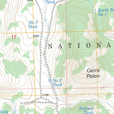 US Forest Service - Topo Arroyo Landavaso, NM FSTopo Legacy digital map