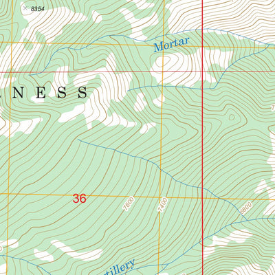 US Forest Service - Topo Artillery Dome, ID FSTopo Legacy digital map