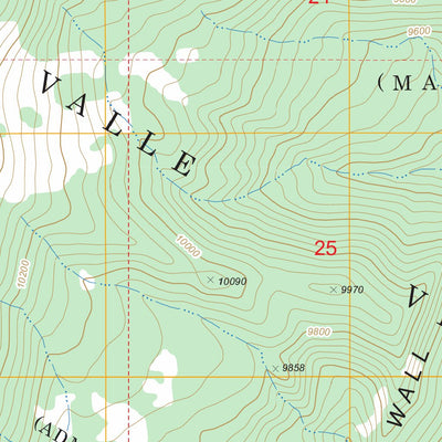 US Forest Service - Topo Ash Mountain, NM FSTopo Legacy digital map