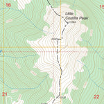 US Forest Service - Topo Ash Mountain, NM FSTopo Legacy digital map
