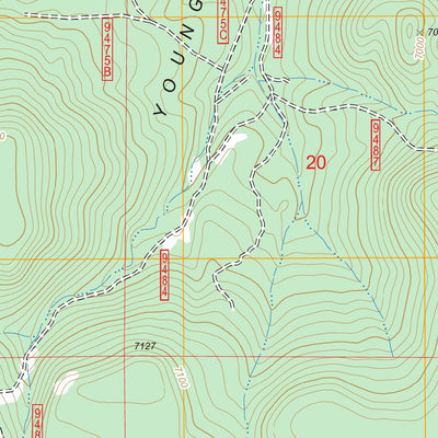 US Forest Service - Topo Ashurst Lake, AZ FSTopo Legacy digital map