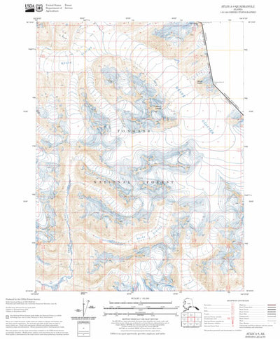 US Forest Service - Topo Atlin A-8, AK FSTopo Legacy digital map