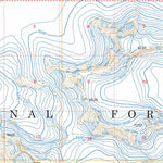 US Forest Service - Topo Atlin A-8, AK FSTopo Legacy digital map