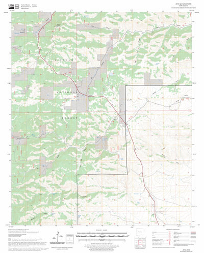 US Forest Service - Topo Avis, NM FSTopo Legacy digital map