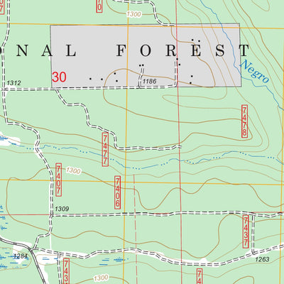 US Forest Service - Topo Axin, MI FSTopo Legacy digital map