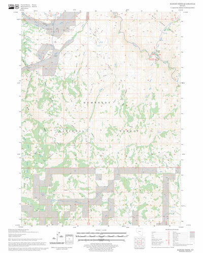 US Forest Service - Topo Badger Creek, NV FSTopo Legacy digital map