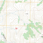 US Forest Service - Topo Badger Creek, NV FSTopo Legacy digital map