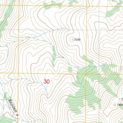 US Forest Service - Topo Badger Creek, NV FSTopo Legacy digital map