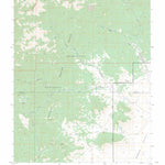 US Forest Service - Topo Badger Gulch, NV FSTopo Legacy digital map
