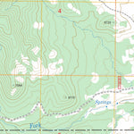 US Forest Service - Topo Badger Gulch, NV FSTopo Legacy digital map
