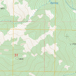 US Forest Service - Topo Badger Gulch, NV FSTopo Legacy digital map