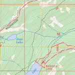 US Forest Service - Topo Badger Lake, OR FSTopo Legacy digital map