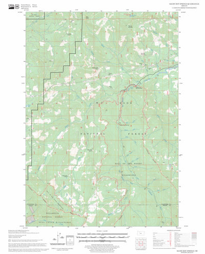 US Forest Service - Topo Bagby Hot Springs, OR FSTopo Legacy digital map