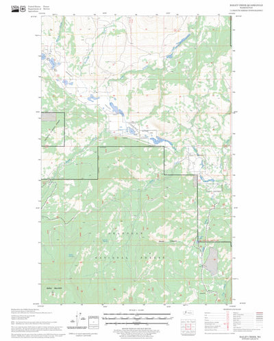 US Forest Service - Topo Bailey Creek, WA FSTopo Legacy digital map