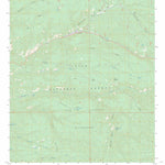 US Forest Service - Topo Baily Points, NM FSTopo Legacy digital map