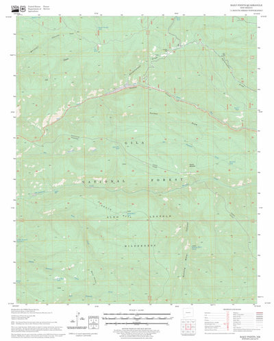 US Forest Service - Topo Baily Points, NM FSTopo Legacy digital map