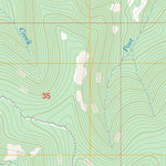 US Forest Service - Topo Bald Hills, MT FSTopo Legacy digital map