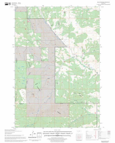 US Forest Service - Topo Bald Knob, MT FSTopo Legacy digital map