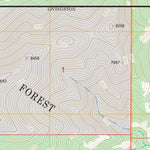 US Forest Service - Topo Bald Knob, MT FSTopo Legacy digital map