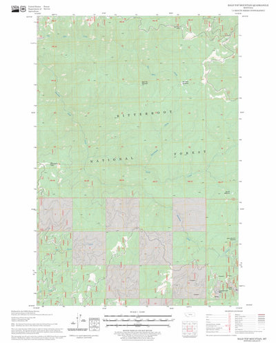 US Forest Service - Topo Bald Top Mountain, MT FSTopo Legacy digital map
