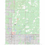 US Forest Service - Topo Baldwin, MI FSTopo Legacy digital map