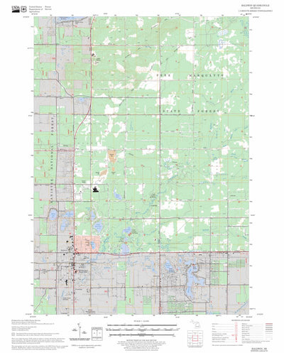 US Forest Service - Topo Baldwin, MI FSTopo Legacy digital map