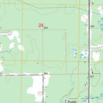 US Forest Service - Topo Baldwin, MI FSTopo Legacy digital map