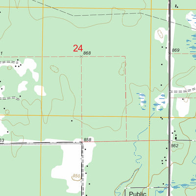 US Forest Service - Topo Baldwin, MI FSTopo Legacy digital map