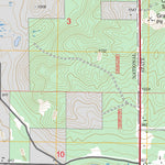 US Forest Service - Topo Baldwin, MI FSTopo Legacy digital map
