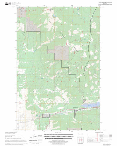 US Forest Service - Topo Baldy Lake, MT FSTopo Legacy digital map