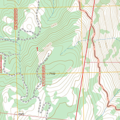 US Forest Service - Topo Balloon Dome, CA FSTopo Legacy digital map