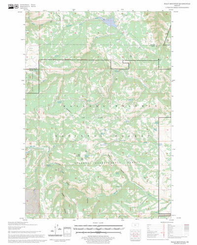 US Forest Service - Topo Bally Mountain, OR FSTopo Legacy digital map