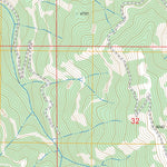 US Forest Service - Topo Banks, ID FSTopo Legacy digital map