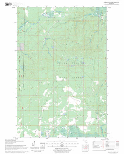 US Forest Service - Topo Baraga Plains, MI FSTopo Legacy digital map