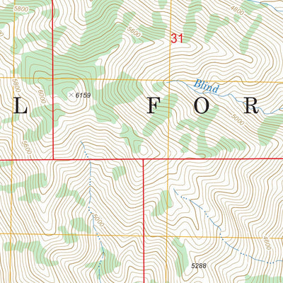 US Forest Service - Topo Barber Flat, ID FSTopo Legacy digital map