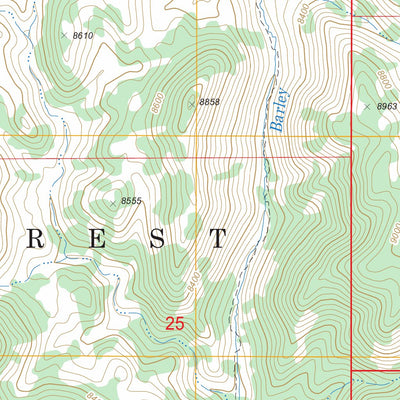 US Forest Service - Topo Barley Creek, NV FSTopo Legacy digital map
