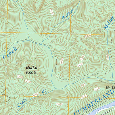 US Forest Service - Topo Barthell SW, TN - KY FSTopo Legacy digital map