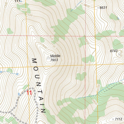 US Forest Service - Topo Basin, ID FSTopo Legacy digital map