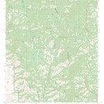 US Forest Service - Topo Bassett Peak, AZ FSTopo Legacy digital map