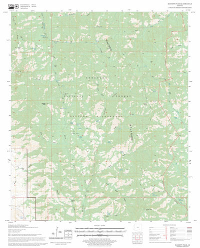 US Forest Service - Topo Bassett Peak, AZ FSTopo Legacy digital map