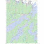 US Forest Service - Topo Basswood Lake West, MN FSTopo Legacy digital map