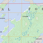 US Forest Service - Topo Basswood Lake West, MN FSTopo Legacy digital map