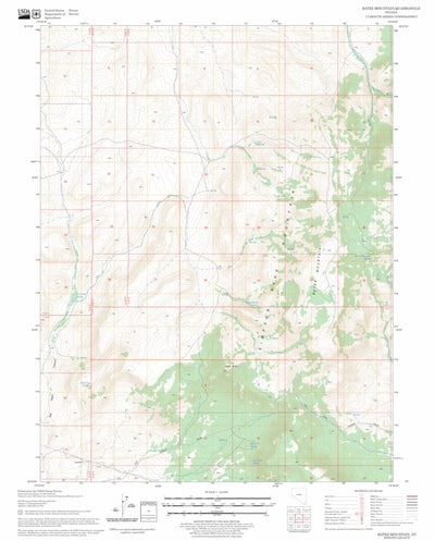 US Forest Service - Topo Bates Mountain, NV FSTopo Legacy digital map