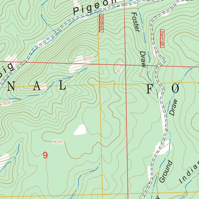 US Forest Service - Topo Bay Buck Peaks, NM FSTopo Legacy digital map