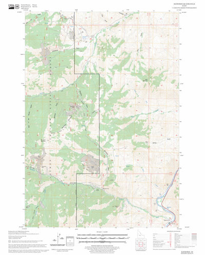 US Forest Service - Topo Bayhorse, ID FSTopo Legacy digital map