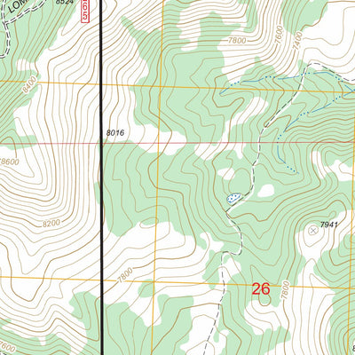 US Forest Service - Topo Bayhorse, ID FSTopo Legacy digital map