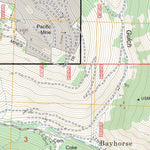 US Forest Service - Topo Bayhorse, ID FSTopo Legacy digital map